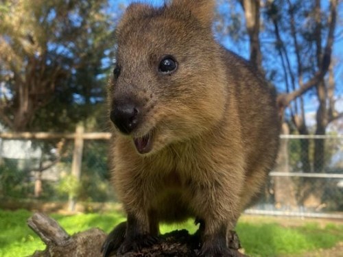 bunbury wildlife park